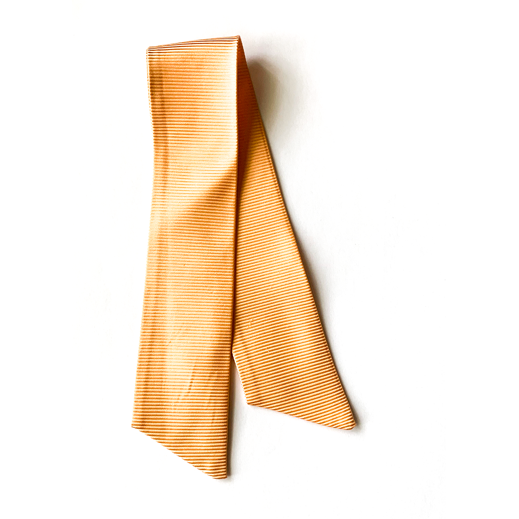 dreamsicle || twillies